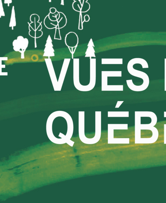 Appel à bénévoles : Vues du Québec 2023 !