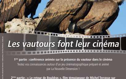 Les vautours font leur cinéma