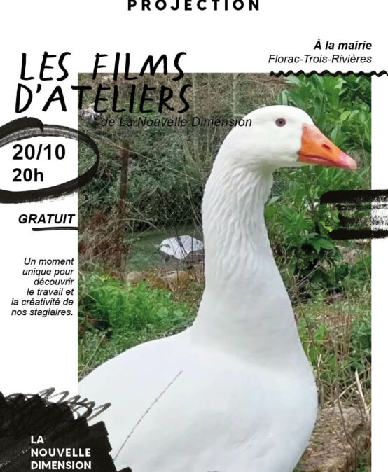 Les films d’ateliers